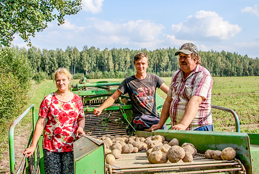 Limbažu pagasta «Pukšās» gaidāma laba kartupeļu raža